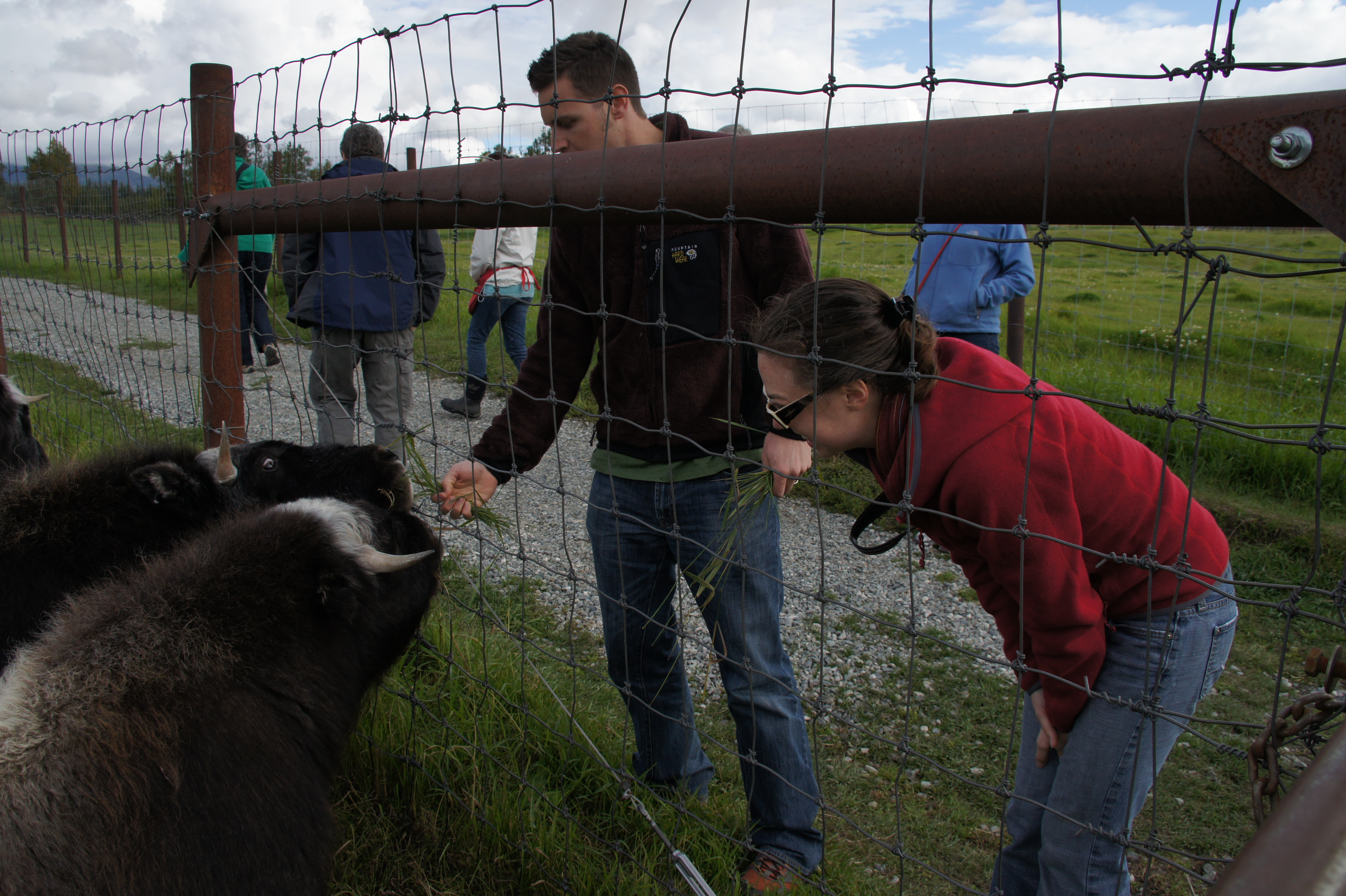 Click to return to the thumbnail index